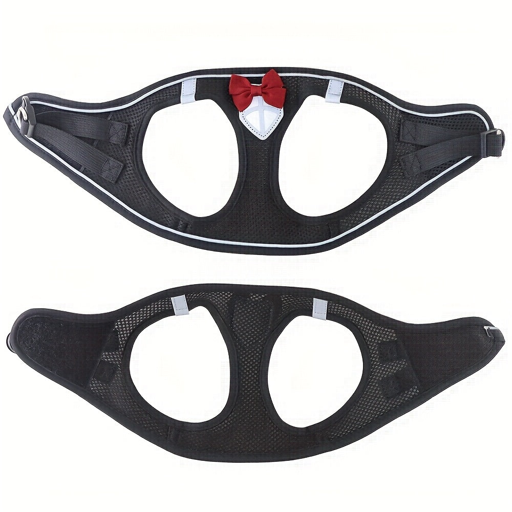 Escape-Proof Cat Harness & Leash Set - product image 3