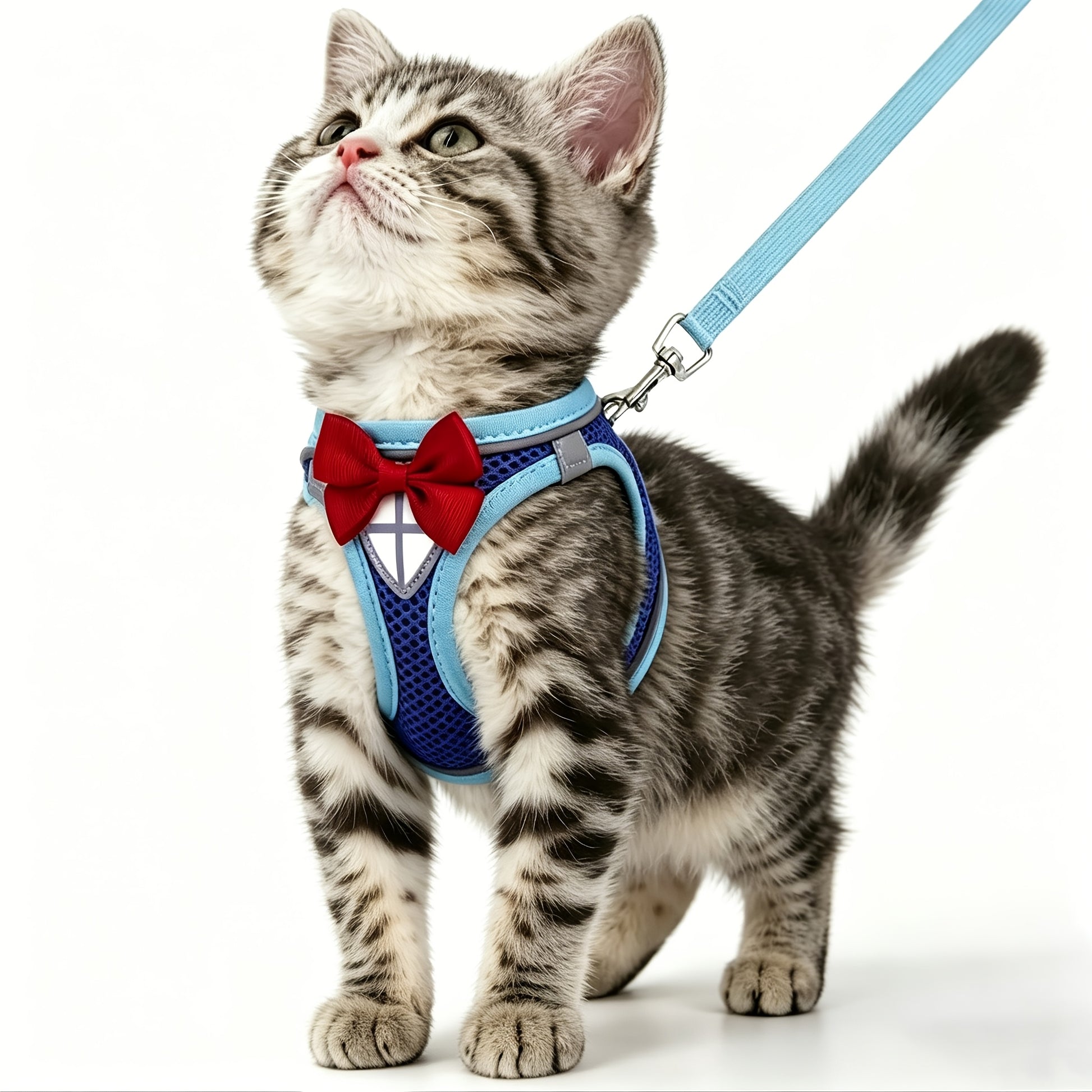 Escape-Proof Cat Harness & Leash Set - product image 1
