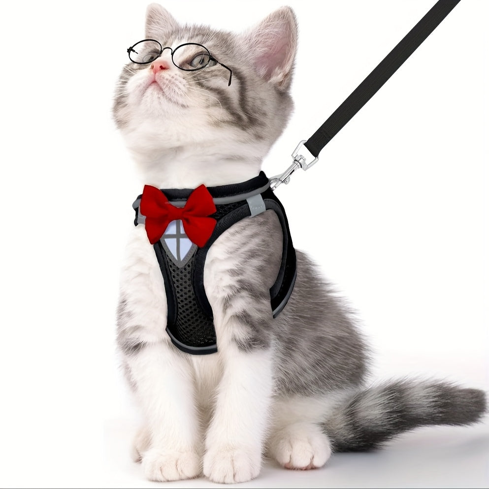 Escape-Proof Cat Harness & Leash Set - product image 5