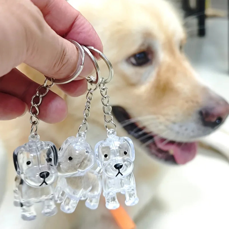 🐾 Pet Hair Keepsake Capsule Keychain | Carry Your Furry Best Friend Everywhere – The Ultimate Memorial Gift for Cat & Dog Lovers