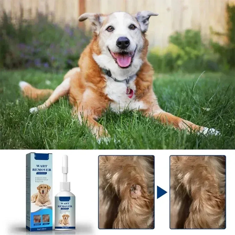 PetNest Natural Dog Wart Remover Liquid - Gentle Skin Tag & Papilloma Treatment (20ml) - product detail view
