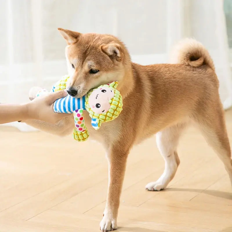 Cute Animal Plush Squeaky Chew Toy for Dogs & Cats - main product view