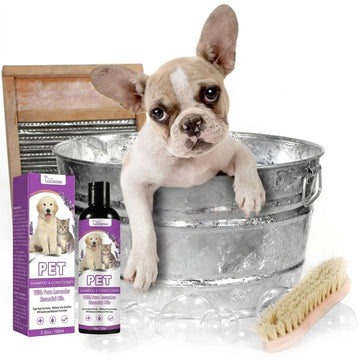 Lavender Pet Shampoo & Conditioner – Tear-Free, pH Balanced for Dogs & Cats, 100ml