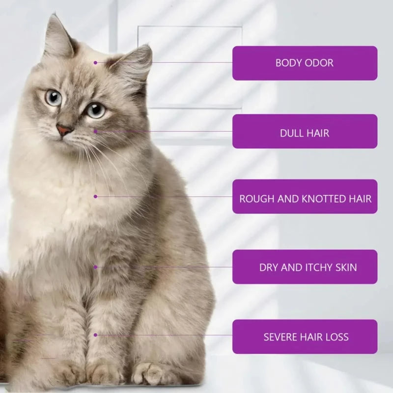 Lavender Pet Shampoo & Conditioner – Tear-Free, pH Balanced for Dogs & Cats, 100ml