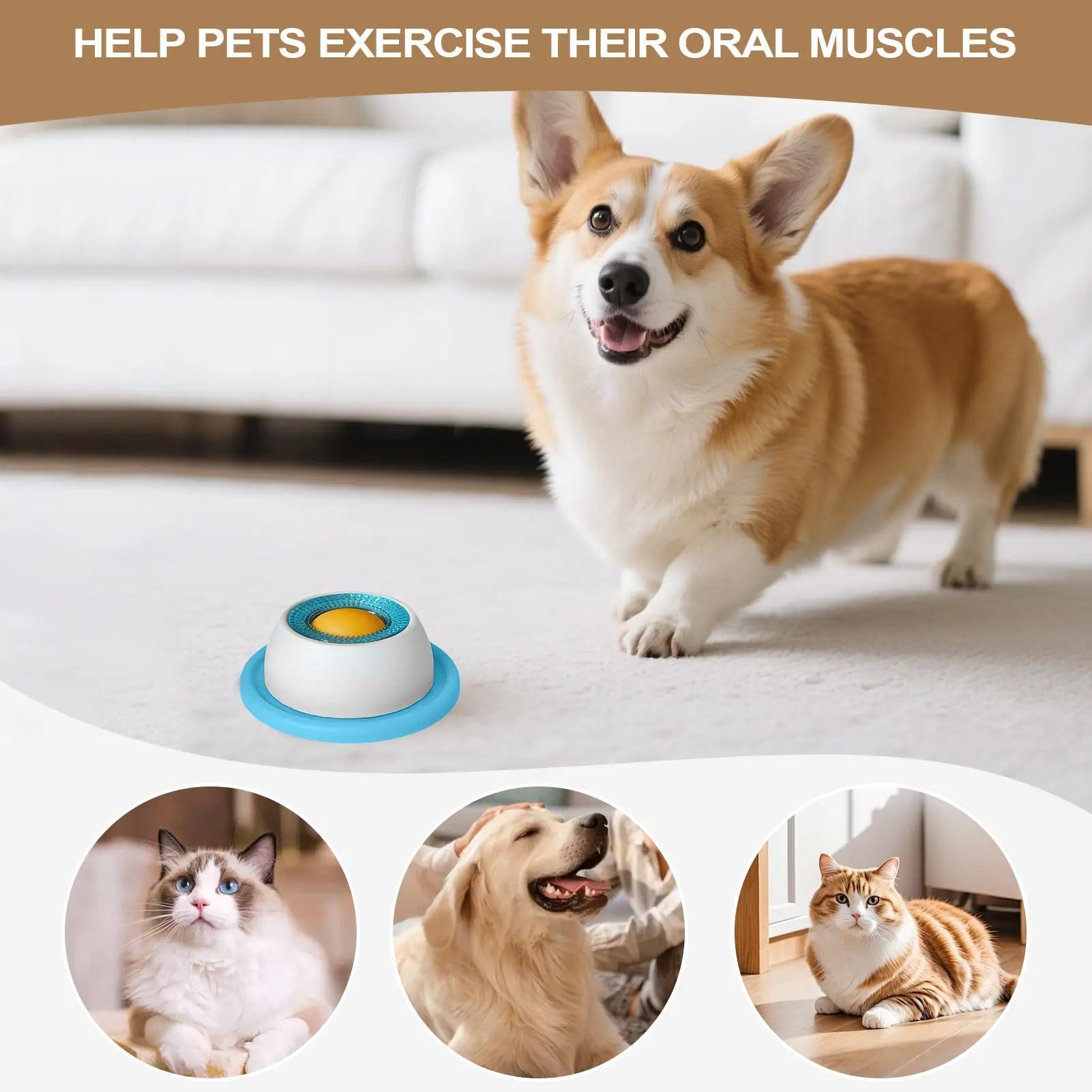 Slow Feeder Lick Mat for Dogs & Cats – Anti-Slip Puzzle Bowl