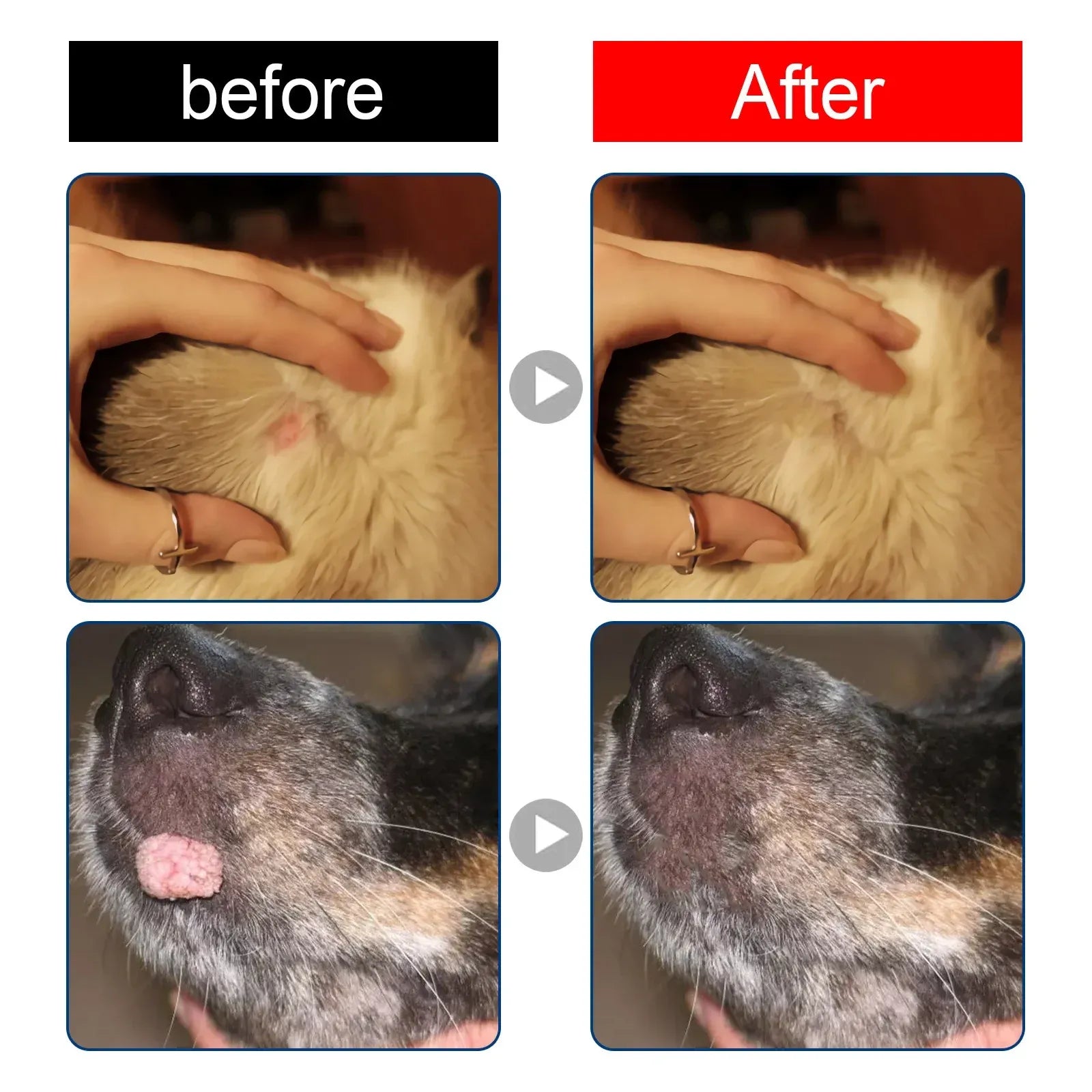 PetNest Natural Dog Wart Remover Liquid - Gentle Skin Tag & Papilloma Treatment (20ml) - feature detail