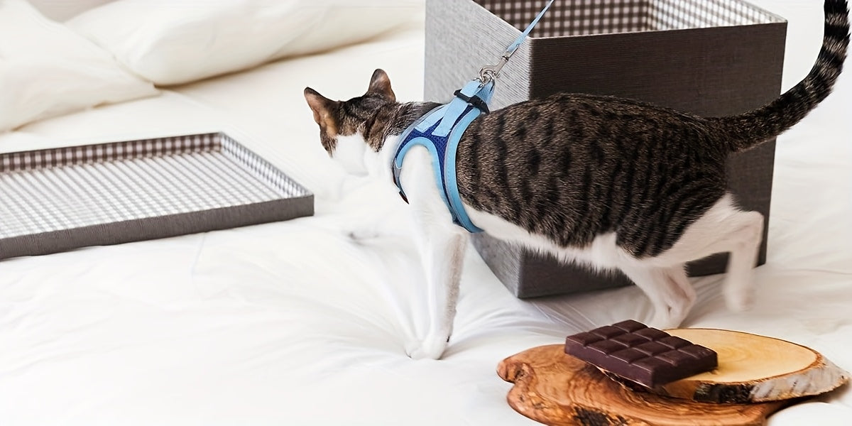 Escape-Proof Cat Harness & Leash Set - product image 15