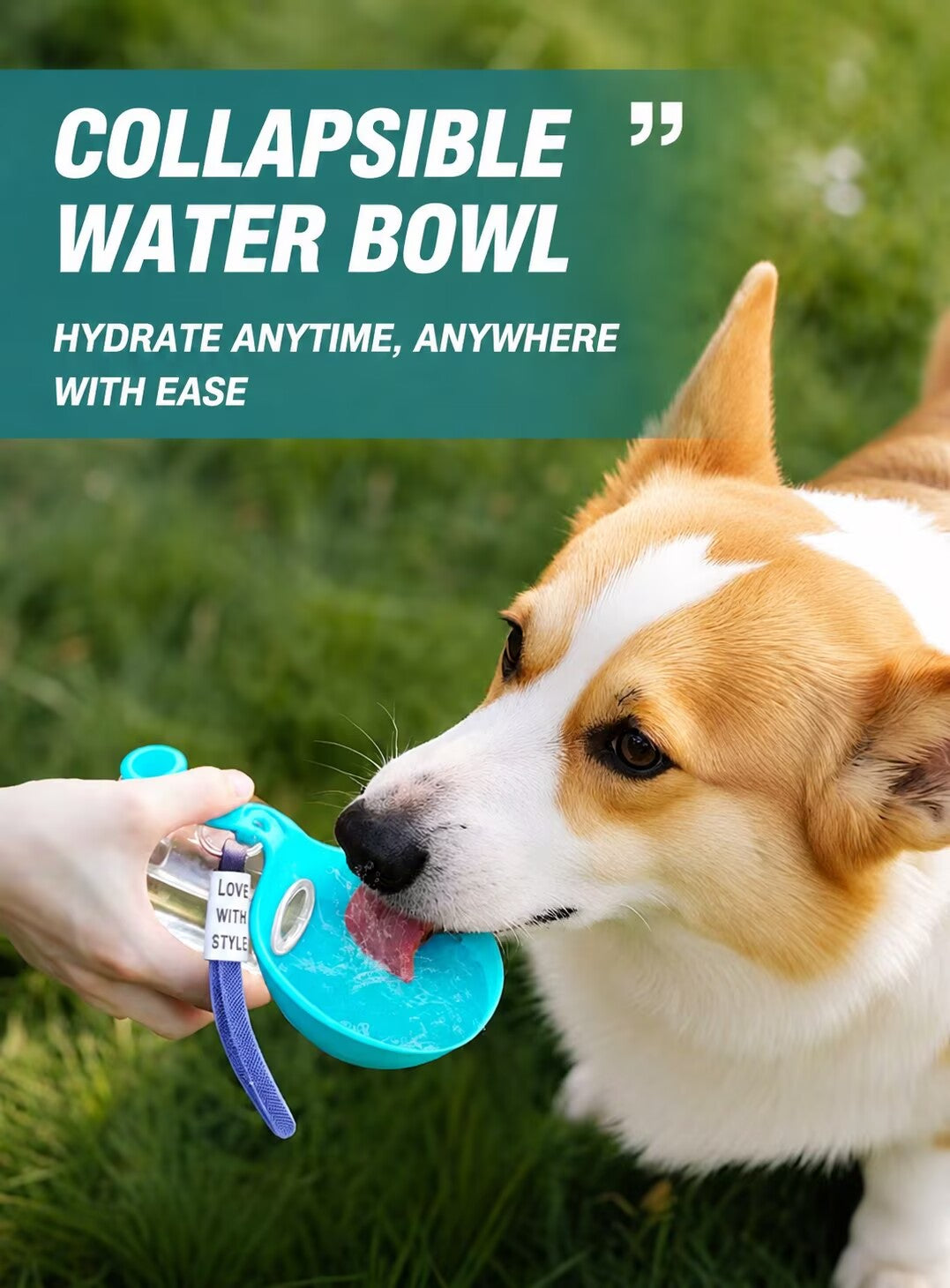 Foldable Pet Travel Water Bottle — Leak-Proof & One-Handed