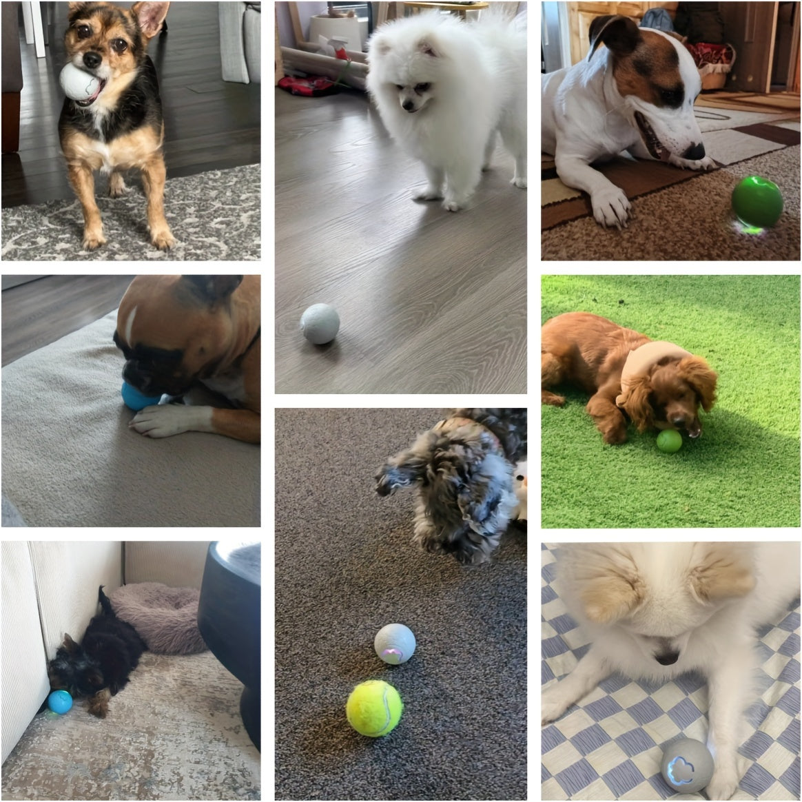 SmartBounce™ Jumping Dog Ball - product image 10