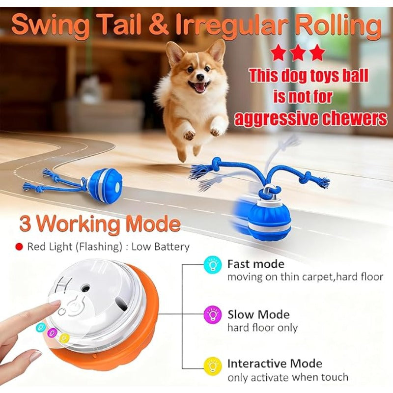 SmartChase™ Electric Rolling Dog Toy - product image 9