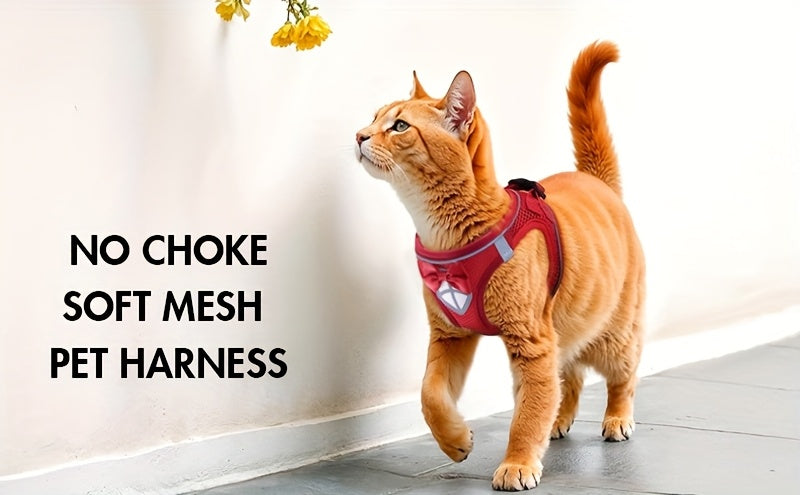 Escape-Proof Cat Harness & Leash Set - product image 16