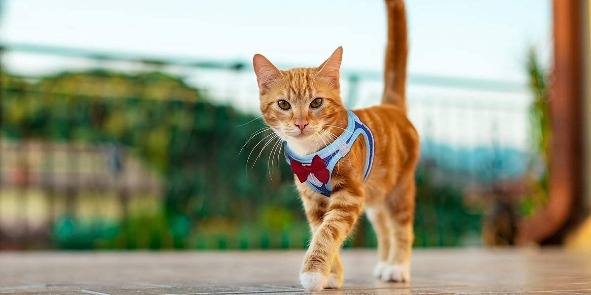 Escape-Proof Cat Harness & Leash Set - product image 14