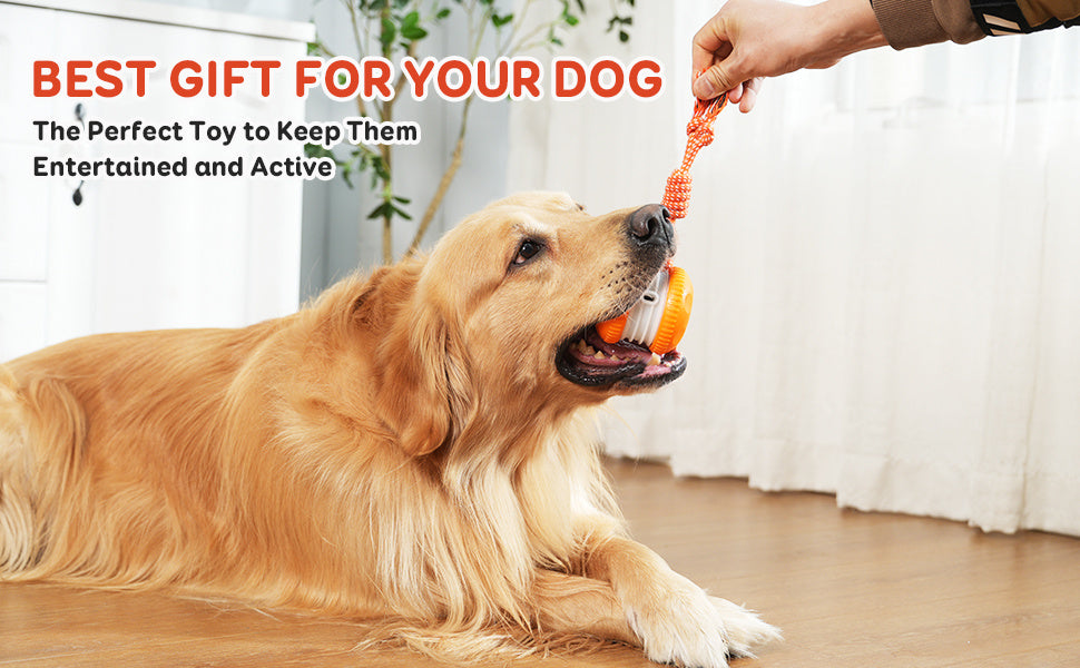 SmartChase™ Electric Rolling Dog Toy - product image 14