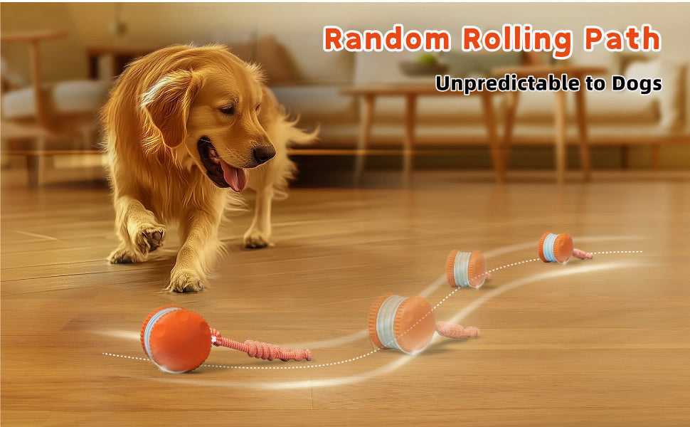 SmartChase™ Electric Rolling Dog Toy - product image 11