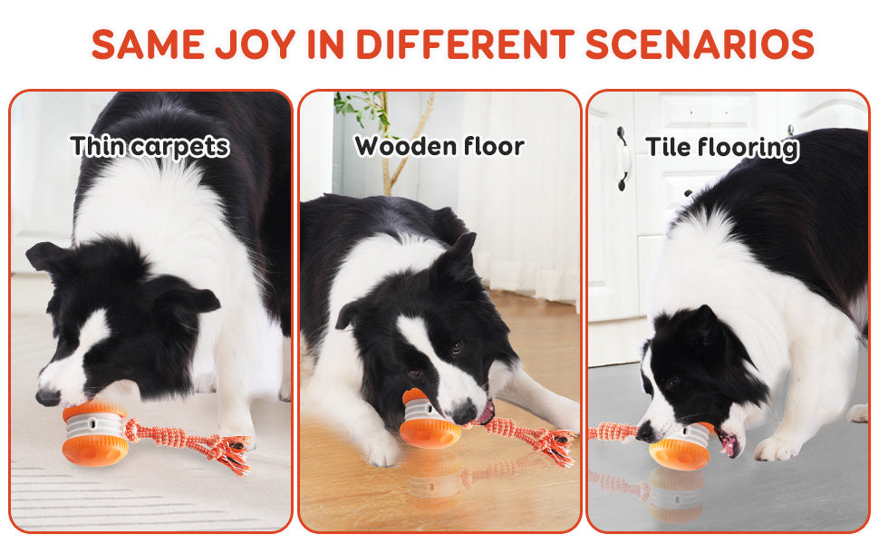 SmartChase™ Electric Rolling Dog Toy - product image 13
