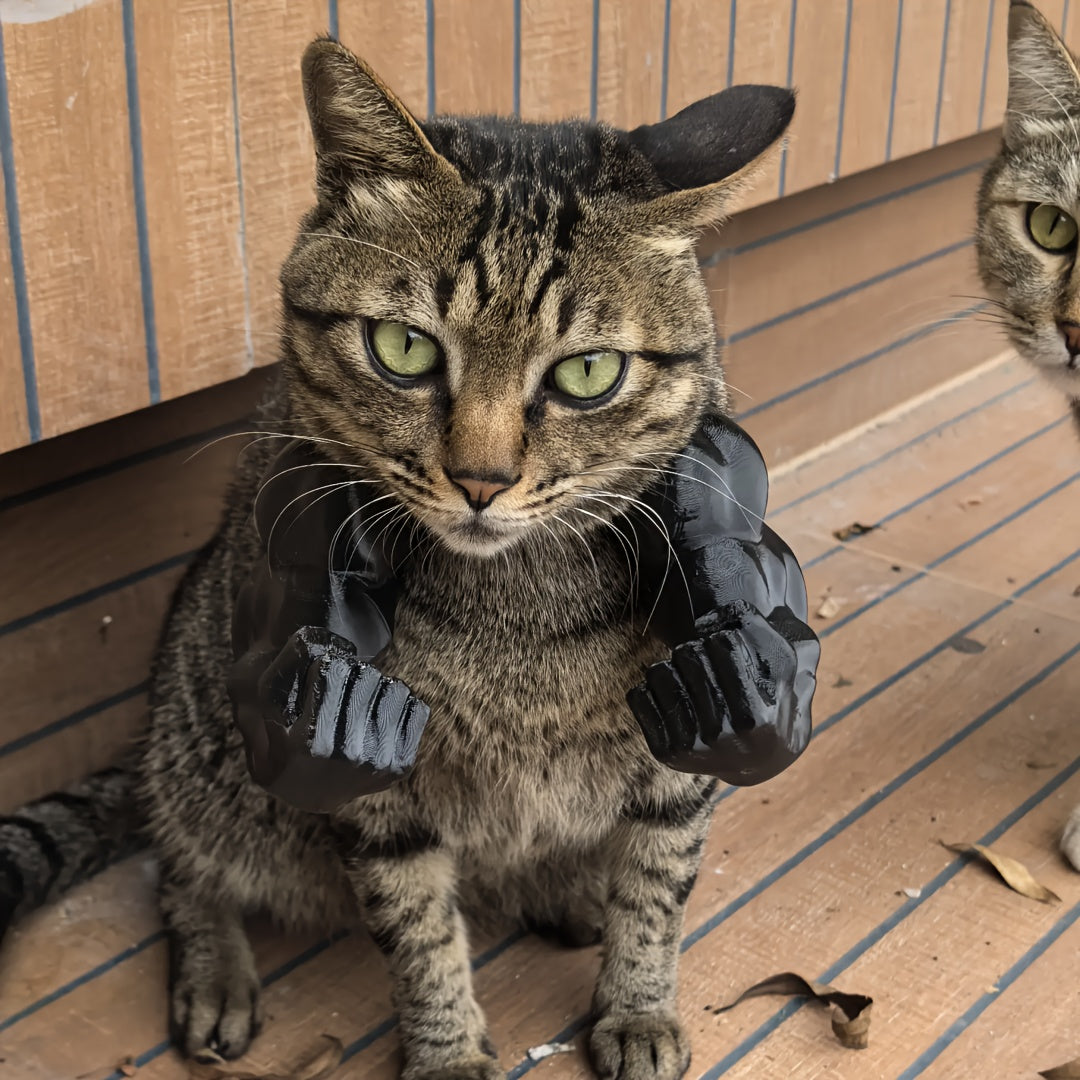 Funny Cat Muscle Arms - product image 7