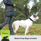 Adjustable Pet Walking Leash