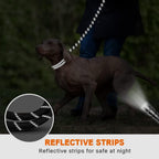 Adjustable Pet Walking Leash